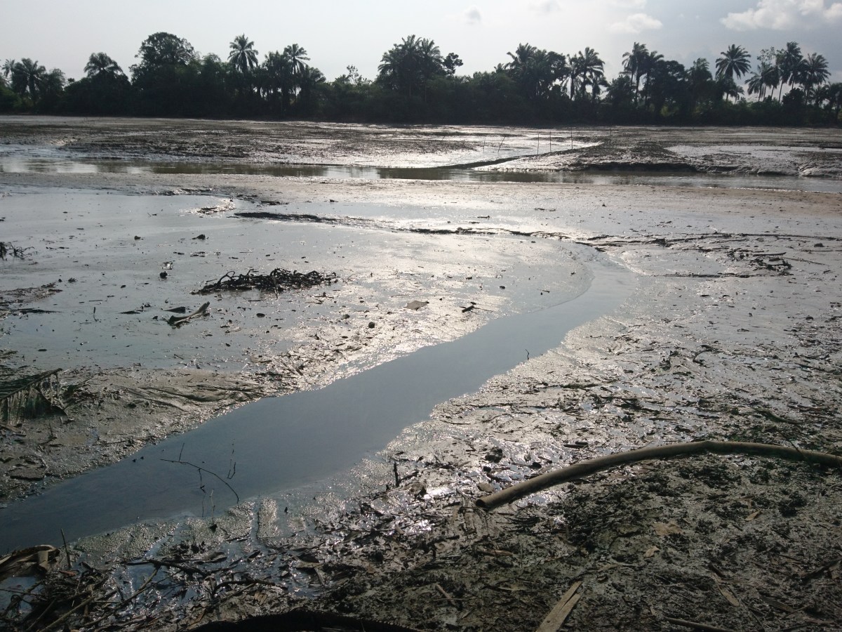 Opinion piece on the legal judgement against&nbsp;Shell