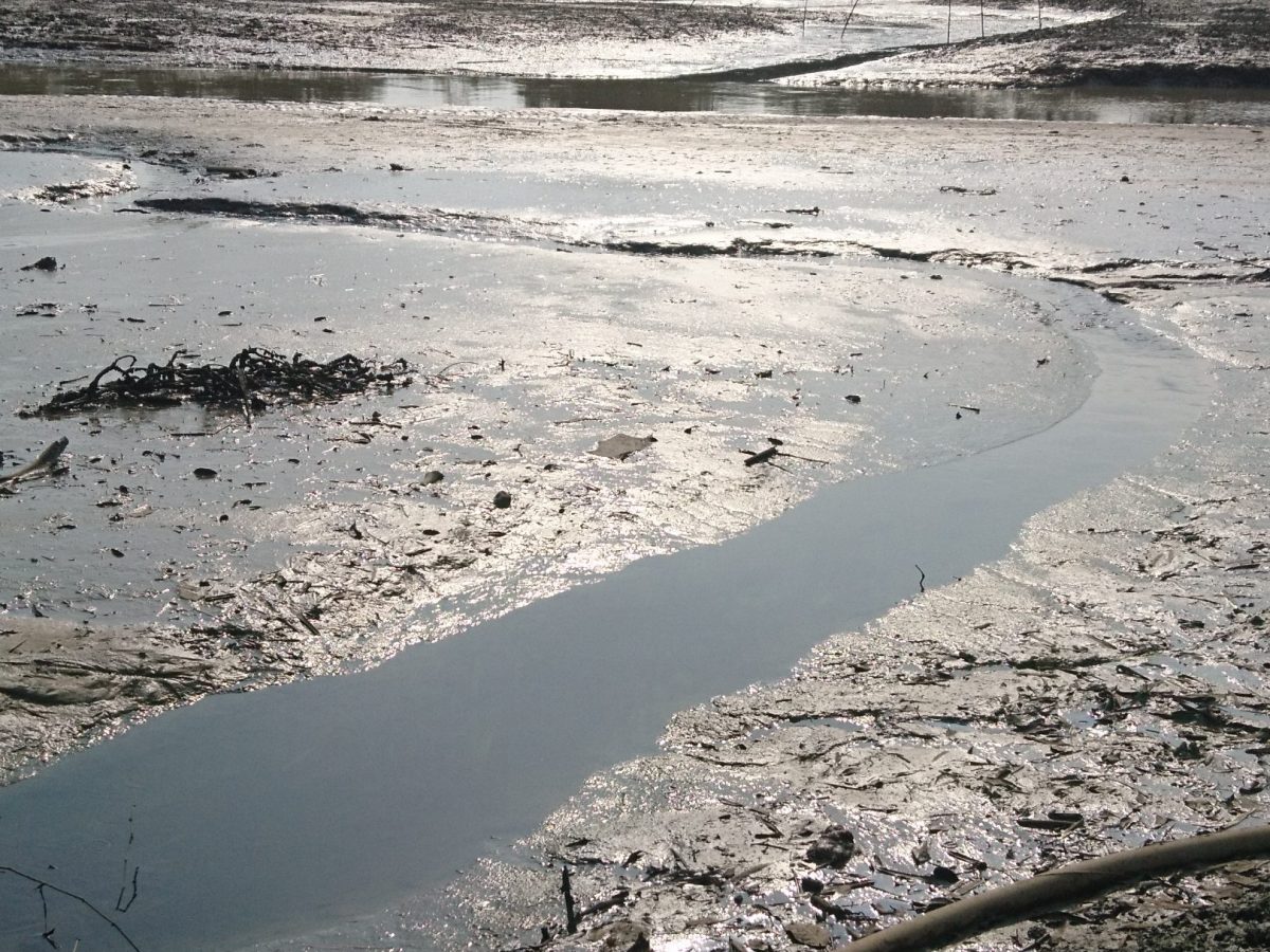 Truth be told. Listening for stories in the&nbsp;courtroom